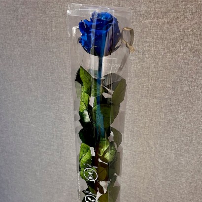 Rosa preservada color azul de floristería Viserchi en Madrid. Rosa eterna color azul