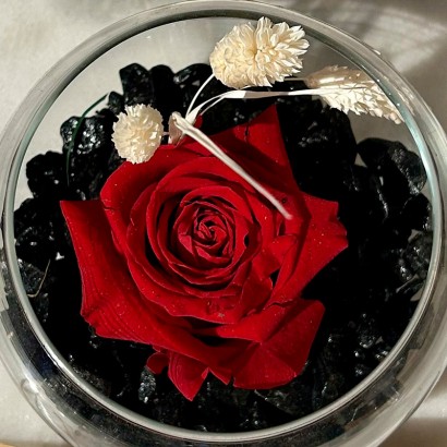 Cúpula de rosa preservada en pecera de cristal de floristería Viserchi, floristería en Arganzuela, Madrid