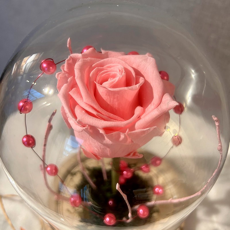 Cúpula La Bella y La Bestia Sweet Pink de rosa rosa preservada de floristería Viserchi en Madrid