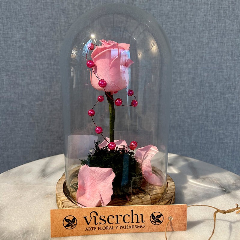 Cúpula rosa preservada y pétalos de floristería Viserchi en Madrid