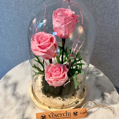 Cúpula La Bella y la Bestia rosas rosas preservadas de floristería Viserchi en Madrid