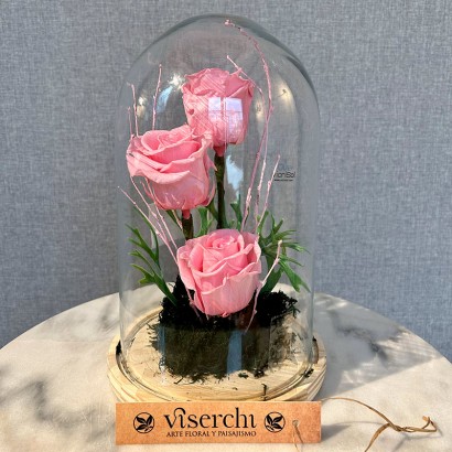 Cúpula La Bella y la Bestia rosas rosas preservadas de floristería Viserchi en Madrid