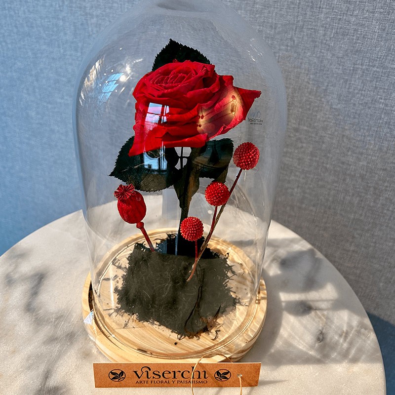 Cúpula La Bella y la Bestia con rosa roja preservada en forma de corazón de floristería Viserchi