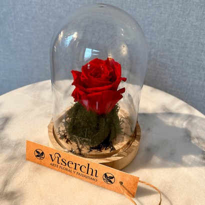 Cúpula La Bella y la Bestia Mini de rosa roja preservada de floristería Viserchi en Madrid