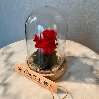 Cúpula La Bella y la Bestia Mini de rosa roja preservada de floristería Viserchi en Madrid