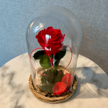 Cúpula La Bella y la Bestia de rosa roja preservada de floristería Viserchi en Madrid