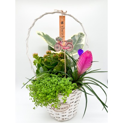 Cesta de mimbre color blanco con pincho de bicicleta de floristería Viserchi, floristería en Arganzuela, Madrid
