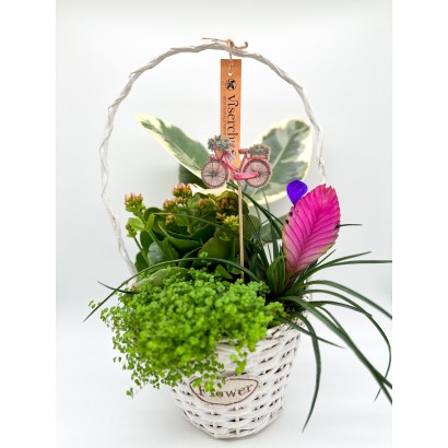 Cesta de mimbre color blanco con pincho de bicicleta de floristería Viserchi, floristería en Arganzuela, Madrid
