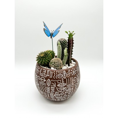Cesta de cactus en maceta de cerámica de diseño de floristería Viserchi, floristería en Arganzuela, Madrid