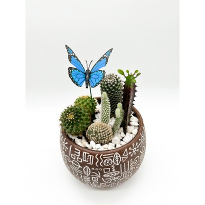 Cesta de cactus en maceta de cerámica de diseño de floristería Viserchi, floristería en Arganzuela, Madrid