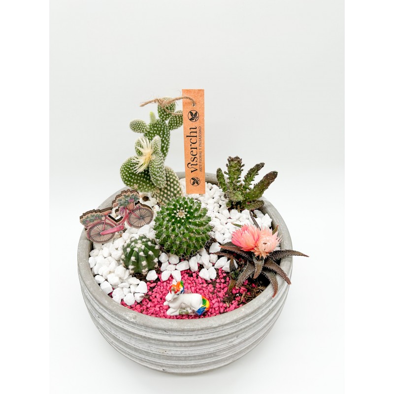 Cesta de cactus en maceta cerámica XL de floristería Viserchi, floristería en Arganzuela, Madrid.