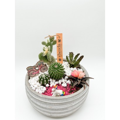 Cesta de cactus en maceta cerámica XL de floristería Viserchi, floristería en Arganzuela, Madrid.