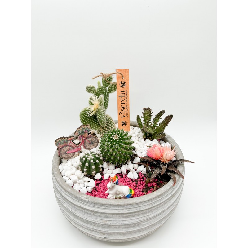 Cesta de cactus en maceta cerámica XL de floristería Viserchi, floristería en Arganzuela, Madrid.