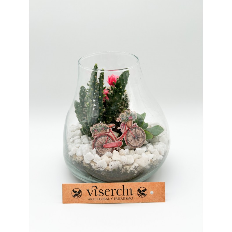 Composición de cactus en cristal de floristería Viserchi, floristería en Arganzuela, Madrid