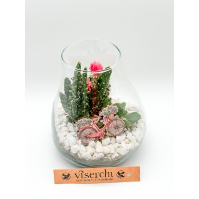 Composición de cactus en cristal de floristería Viserchi, floristería en Arganzuela, Madrid