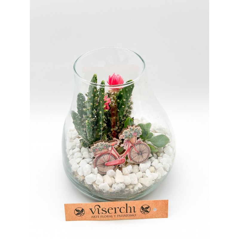 Composición de cactus en cristal de floristería Viserchi, floristería en Arganzuela, Madrid