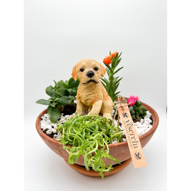 Composición de cactus en maceta de barro con figura de perro de floristería Viserchi, floristería en Arganzuela, Madrid