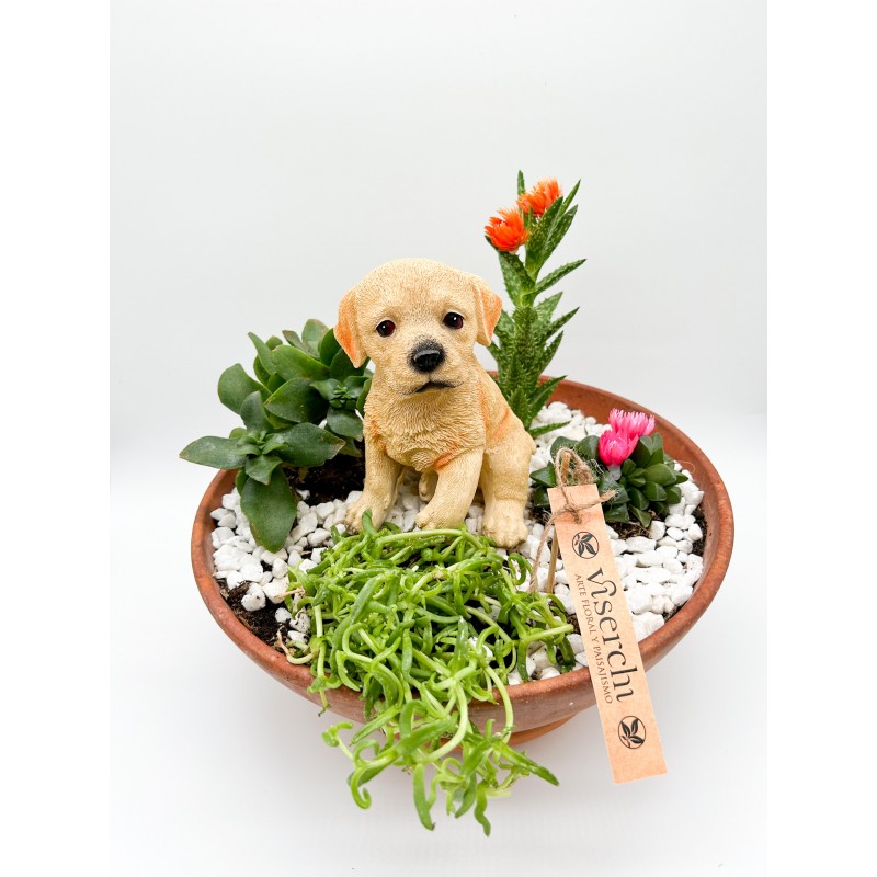 Composición de cactus en maceta de barro con figura de perro de floristería Viserchi, floristería en Arganzuela, Madrid