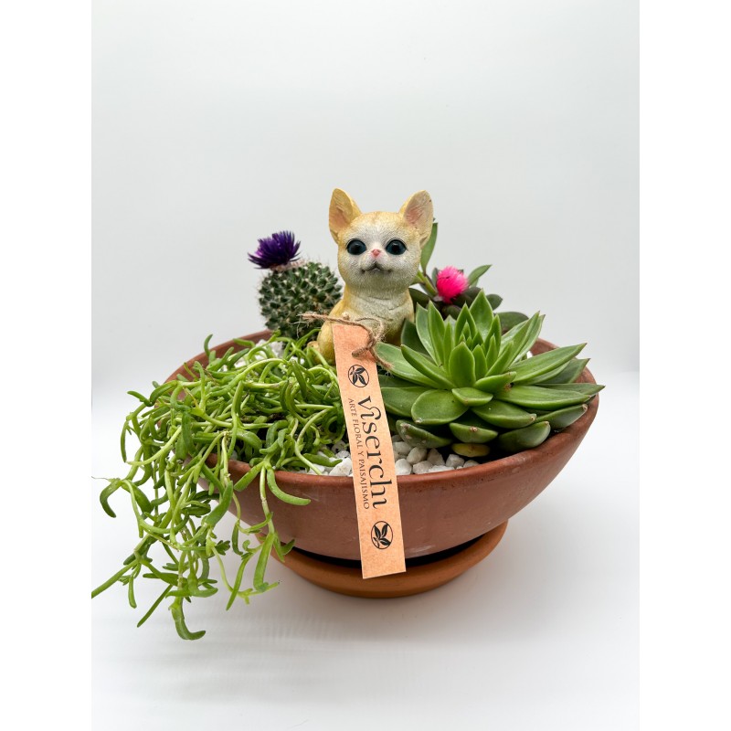 Comprar composición de cactus en barro con figura decorativa de gato de floristería Viserchi, floristería en Arganzuela, Madrid