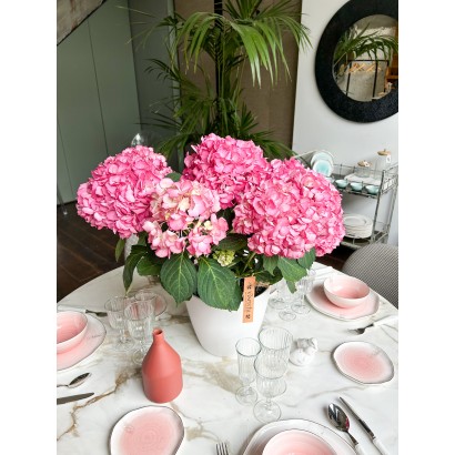 Comprar hortensia rosa de floristería Viserchi en Arganzuela, Madrid. Envíos a Madrid desde 10€. Jarrón no incluido