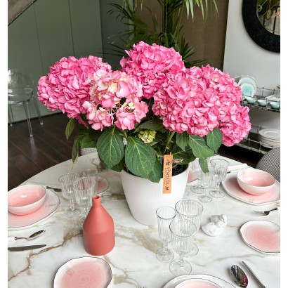 Comprar hortensia rosa de floristería Viserchi en Arganzuela, Madrid. Envíos a Madrid desde 10€. Jarrón no incluido