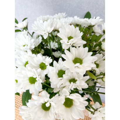 Comprar bouquet de margaritas blancas de floristería Viserchi en Arganzuela, Madrid