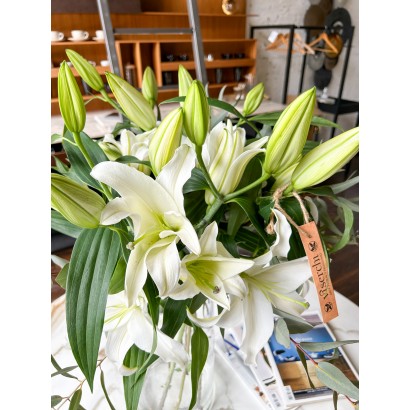 Comprar Bouquet de Lilium Oriental y Eucalipto de floristería Viserchi, floristería en Arganzuela, Madrid