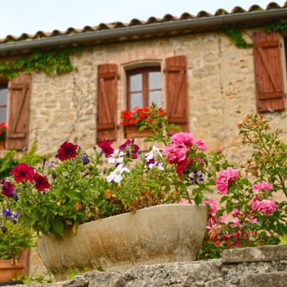 Flores para portales