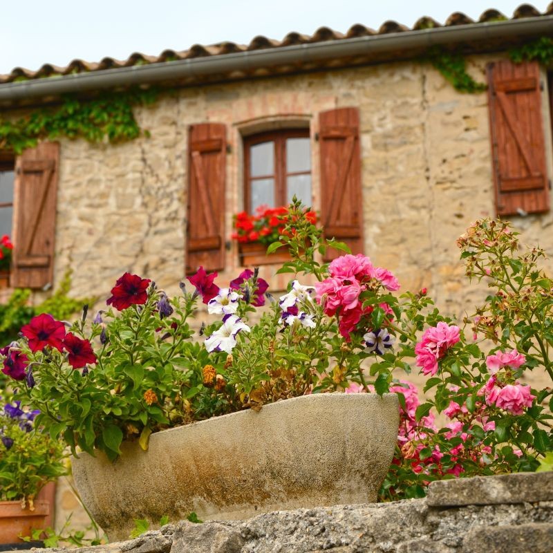 Flores para portales