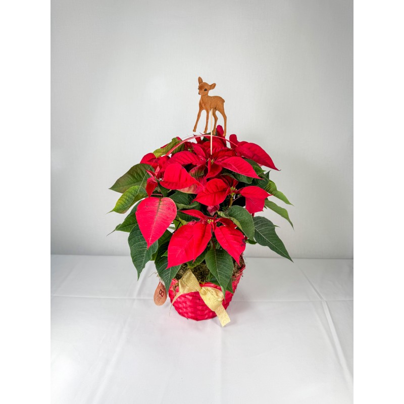 CESTA POINSETTIA MEDIANA ART 9