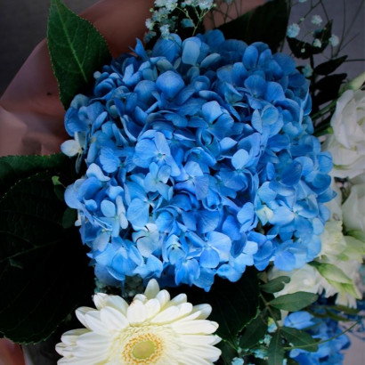 Ramo de flores box azul y blanco de florestería Viserchi en Madrid